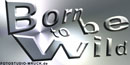 Born to be wild