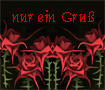 Rose nur ein Gru�